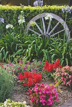 Bed & Breakfast Allara Homestead Flaxton