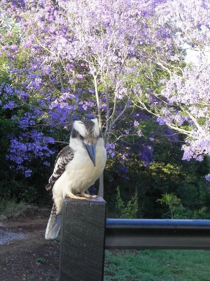 Allara Homestead Flaxton