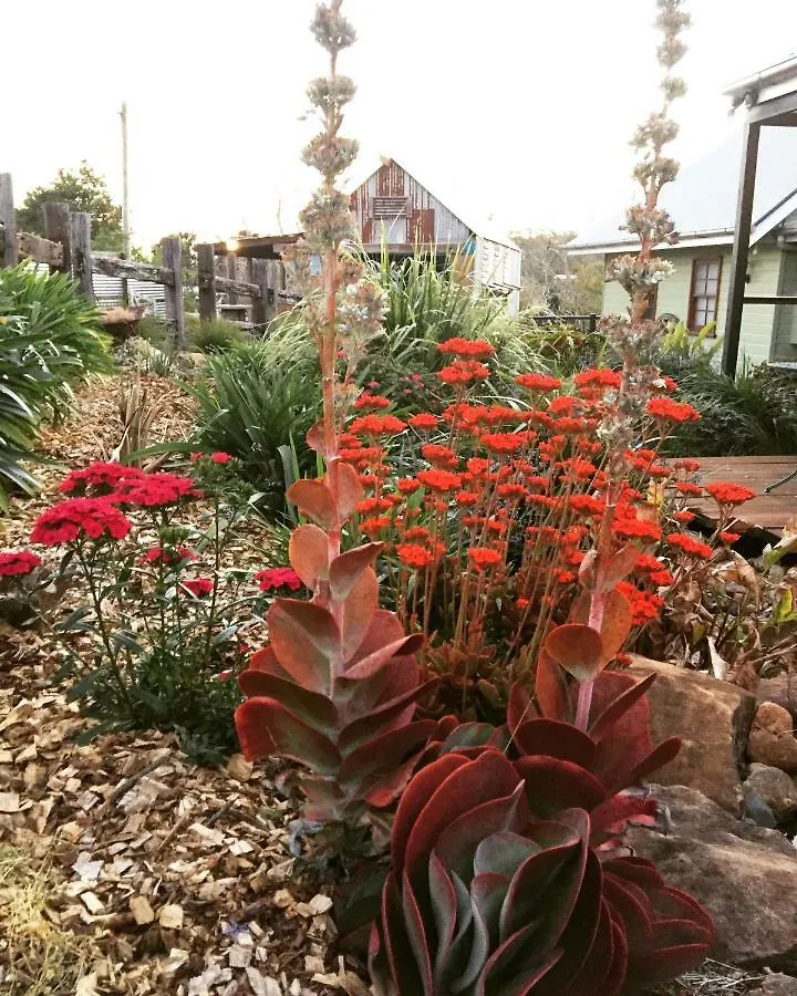 Allara Homestead Flaxton Bed & Breakfast